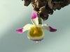 Den. pendulum